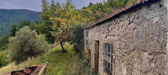 Дом с 1 спальней в Мантейгаш, Португалия № 27739 14