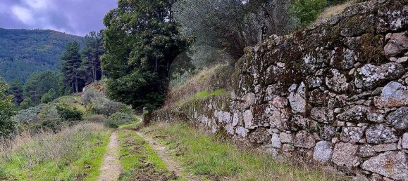 Дом с 1 спальней в Мантейгаш, Португалия № 27739 20