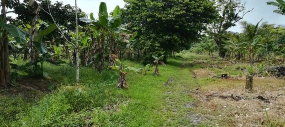  Land in Puerto Viejo, Costa Rica No. 1739 6