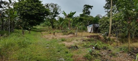  Land in Puerto Viejo, Costa Rica No. 1739 5