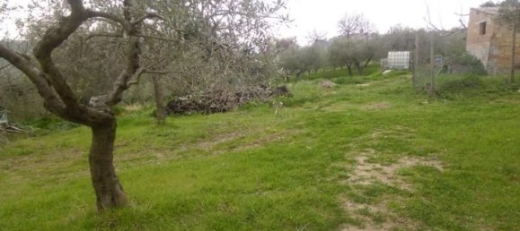 Estúdio em Monteodorisio, Italy N.º 237198 8