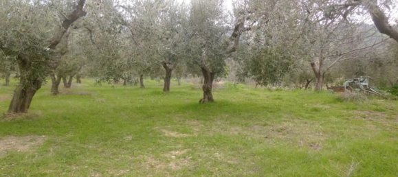 Estúdio em Monteodorisio, Italy N.º 237198 13