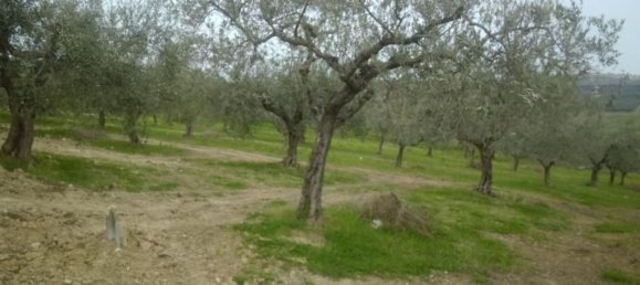 Estúdio em Monteodorisio, Italy N.º 237198 14