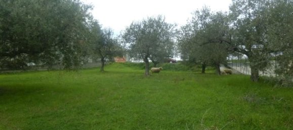 Estúdio em Monteodorisio, Italy N.º 237198 3