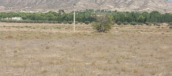 Grundstück in Hondon De Las Nieves, Spain, Nr. 189151 2