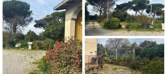 7-Zimmer Haus in Velletri, Italy, Nr. 290472 4