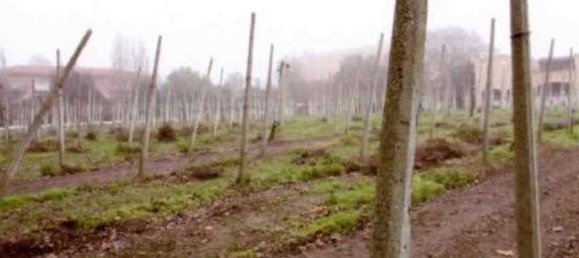 8 rooms House in Arre, Italy No. 61085 3