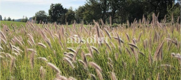 629m² Land in Zell am See, Austria No. 114656 2