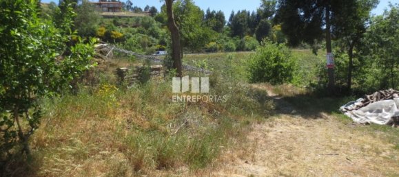 720m² Land in Marco de Canaveses, Portugal No. 56108 10