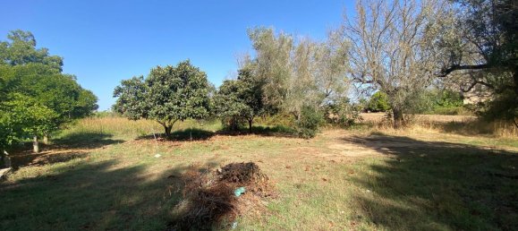 Villa T3 em Cutrofiano, Italy N.º 343036 4