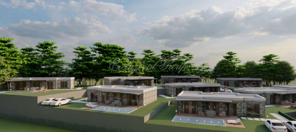 Villa 4+1 in Bodrum, Turkey No. 28857 3