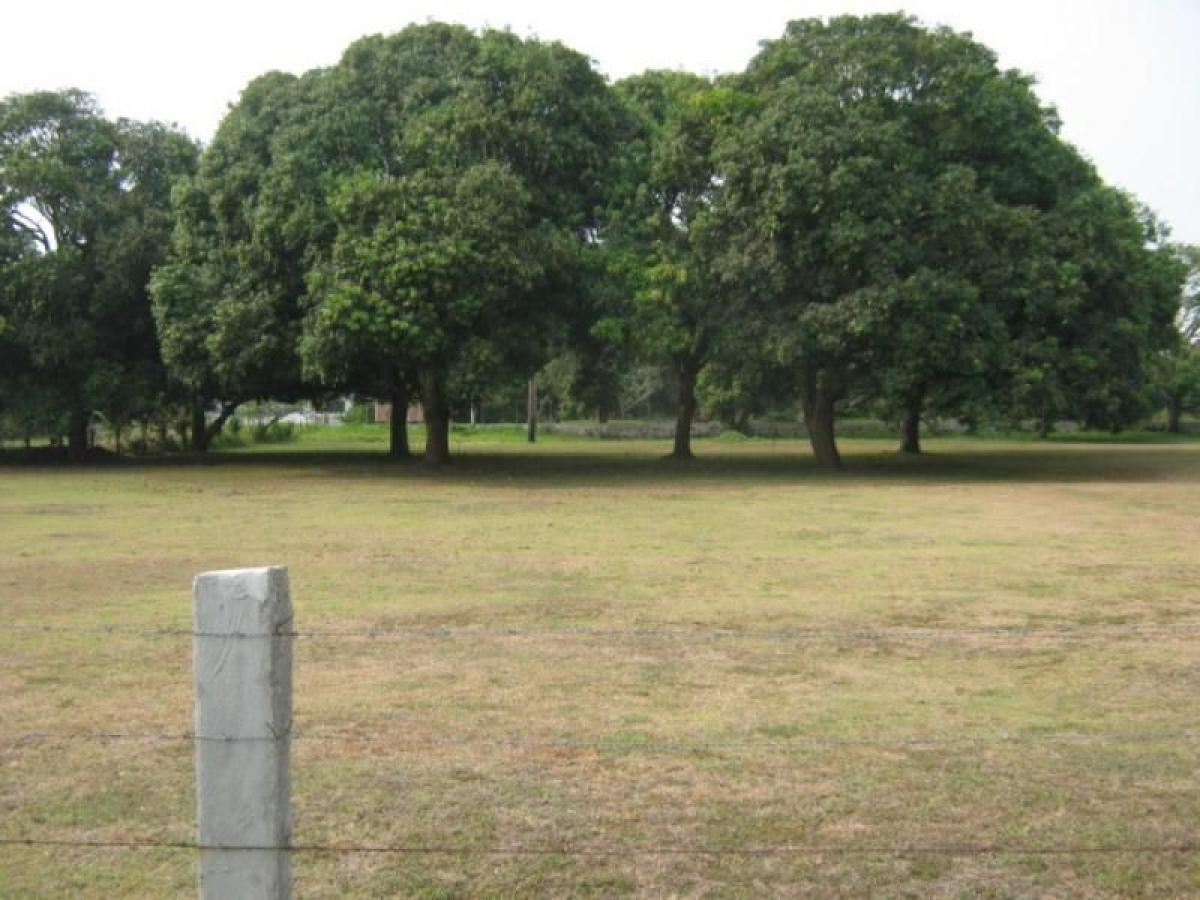 Земельный участок в Веракрус, Мексика № 203072