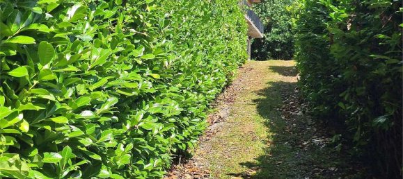 2 Schlafzimmer Haus in Marliana, Italy, Nr. 320504 6