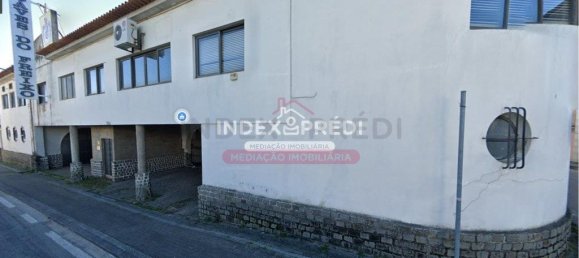 11090m² Warehouse in Sangalhos, Portugal No. 92832 7