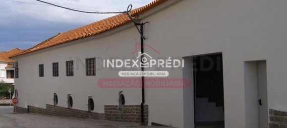 11090m² Warehouse in Sangalhos, Portugal No. 92832 11