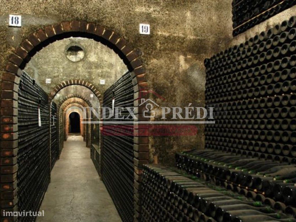 11090m² Warehouse in Sangalhos, Portugal No. 92832