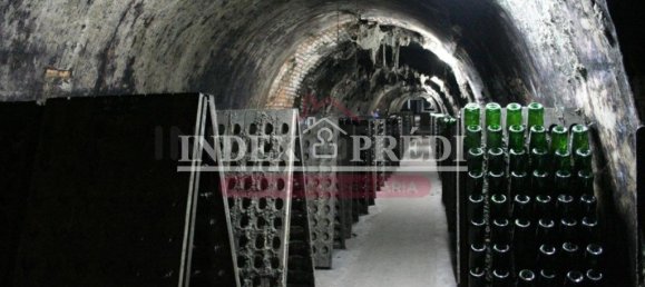 11090m² Warehouse in Sangalhos, Portugal No. 92832 5