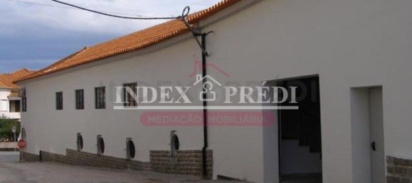 11090m² Warehouse in Sangalhos, Portugal No. 92832 4