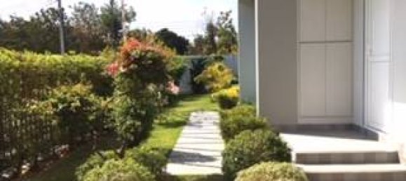 4 chambres Café / restaurant à Pattaya, Thailand No. 4091 8