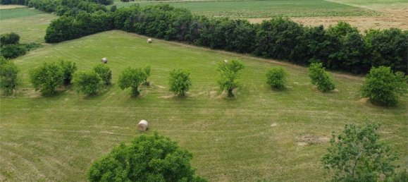 7-Zimmer Haus in Giavera del Montello, Italy, Nr. 120601 4