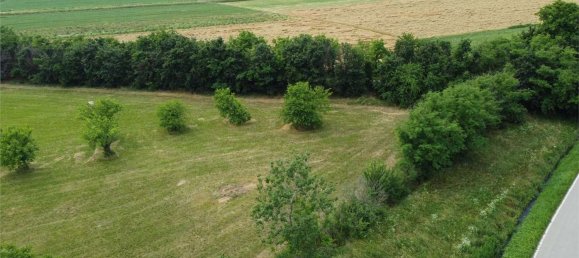 7-Zimmer Haus in Giavera del Montello, Italy, Nr. 120601 5