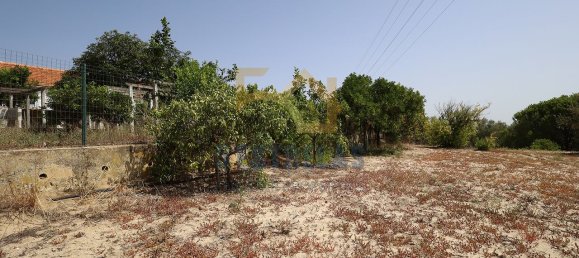 3 chambres Maison à Aveiras de Baixo, Portugal No. 89611 20