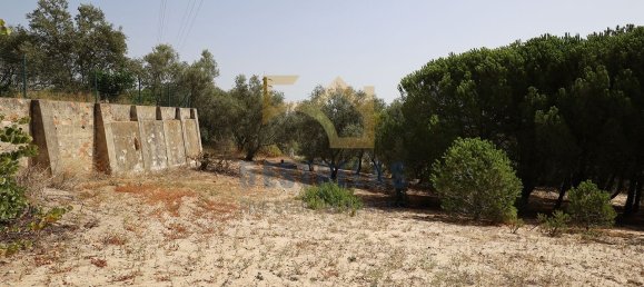 3 chambres Maison à Aveiras de Baixo, Portugal No. 89611 18