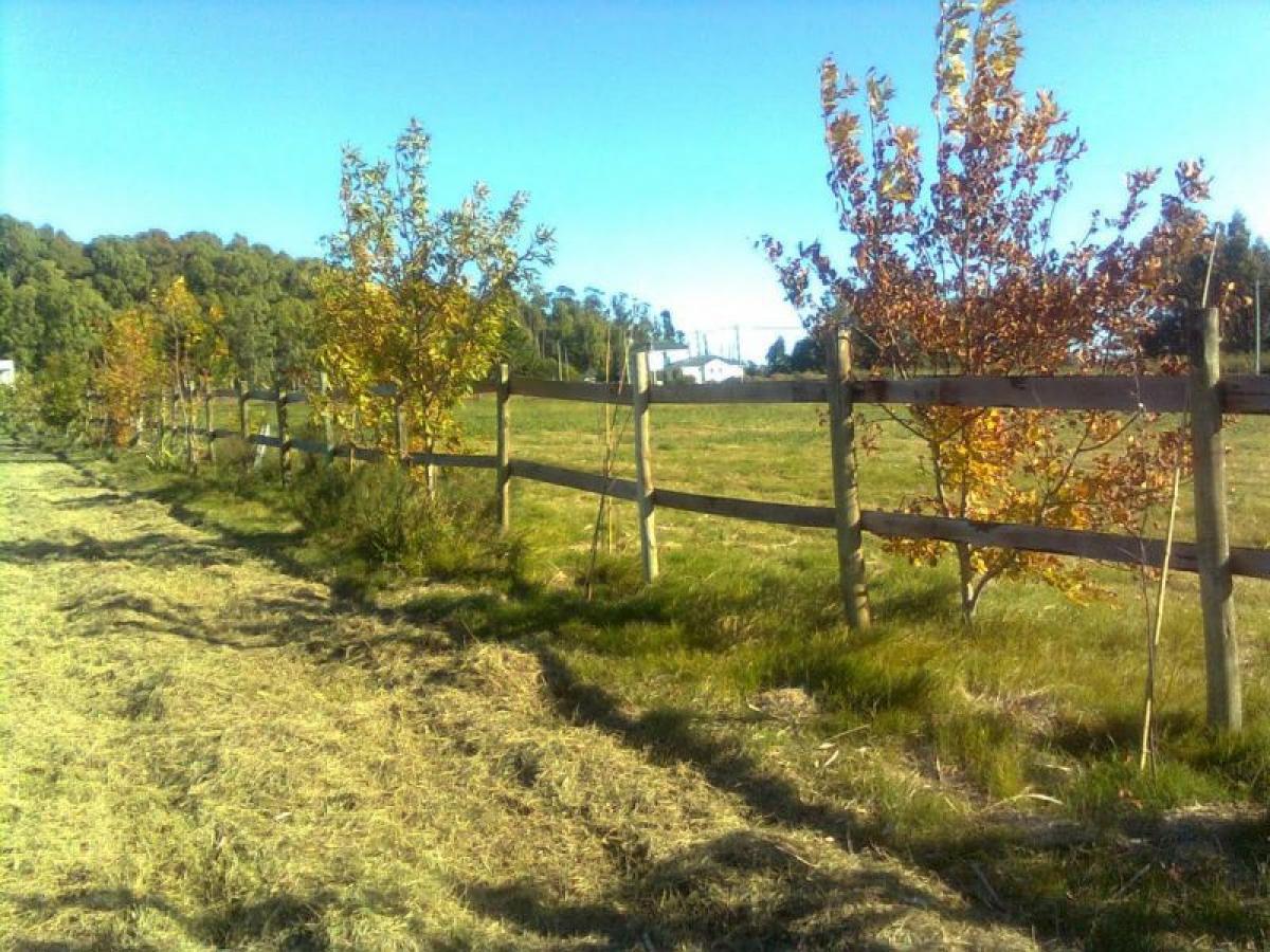  Land in Maldonado, Uruguay No. 14727