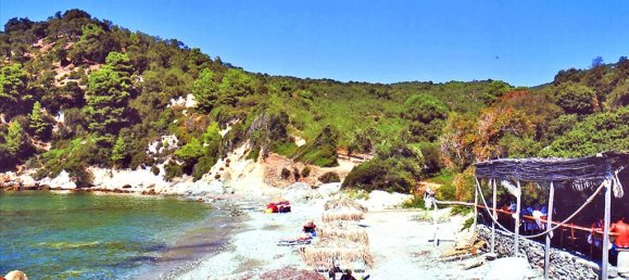 Hotel en Sporades, Greece 30000 m² No. 7155 3