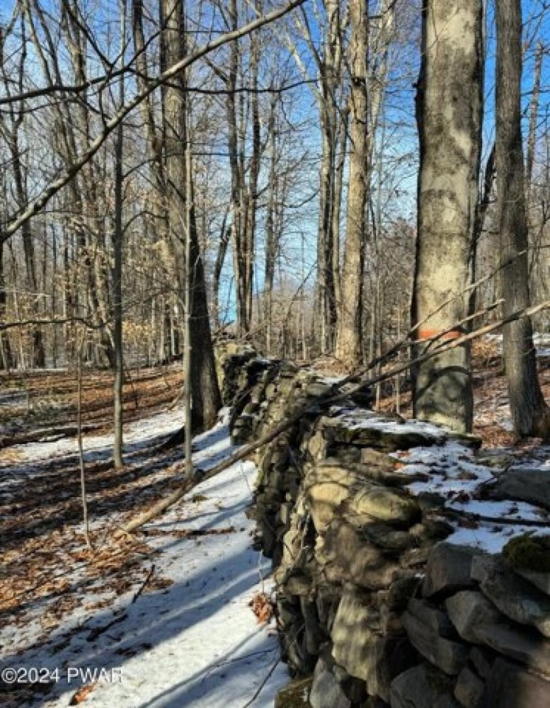  Land in Waymart, USA No. 505265