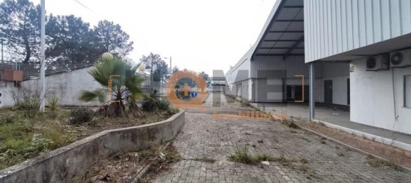 5460m² Warehouse in Muge, Portugal No. 63087 4