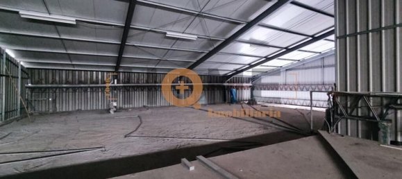 5460m² Warehouse in Muge, Portugal No. 63087 5