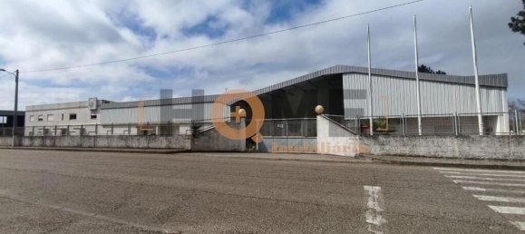 5460m² Warehouse in Muge, Portugal No. 63087 3