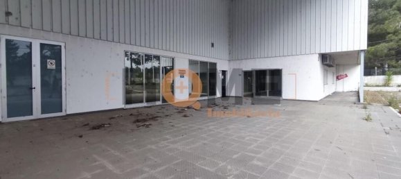 5460m² Warehouse in Muge, Portugal No. 63087 22