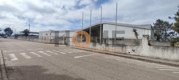 5460m² Warehouse in Muge, Portugal No. 63087 2
