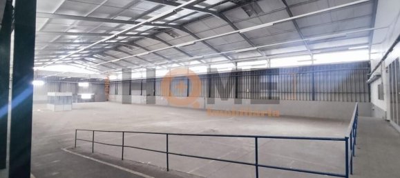 5460m² Warehouse in Muge, Portugal No. 63087 49