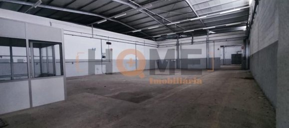 5460m² Warehouse in Muge, Portugal No. 63087 17