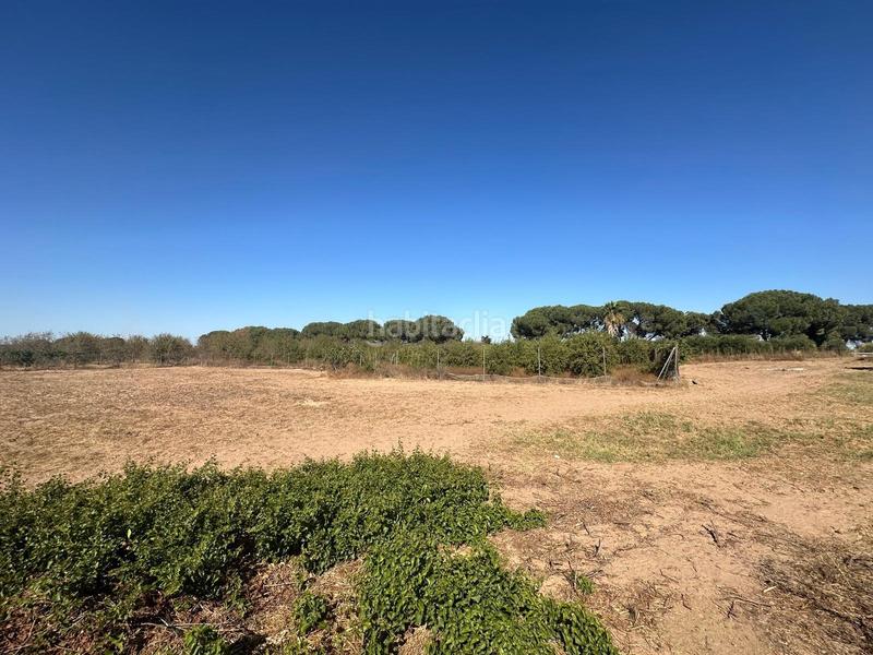 Terrain à Andalusia, Spain 3400m² No. 195628