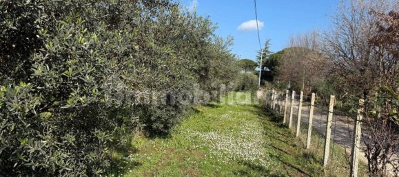 Grundstück in Cori, Italy 8000m², Nr. 251154 3