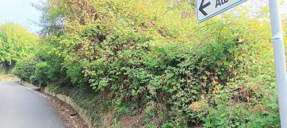 8غرفة منزل في Missaglia, Italy رقم 20839 13