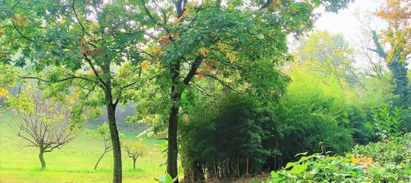 8غرفة منزل في Missaglia, Italy رقم 20839 11