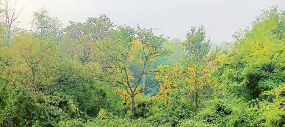 8غرفة منزل في Missaglia, Italy رقم 20839 10