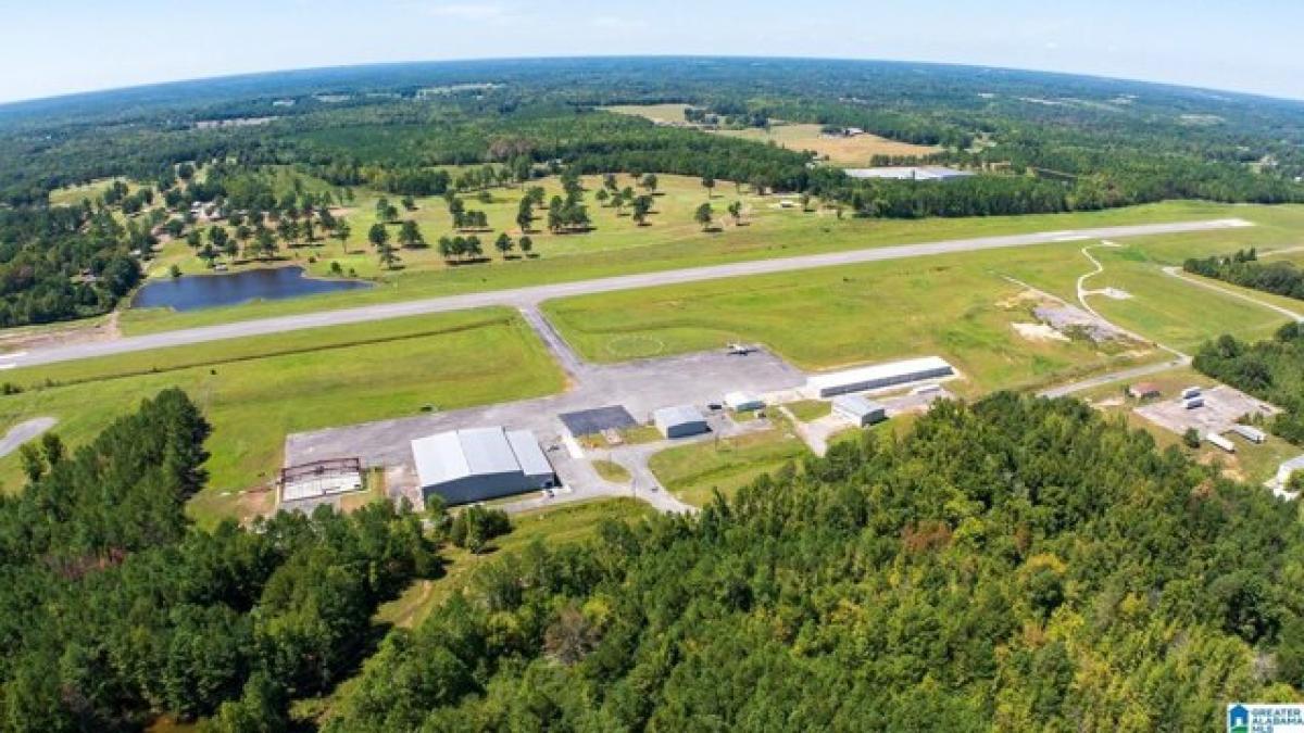  Land in Haleyville, USA No. 480950