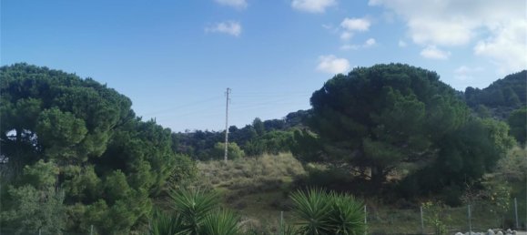 6 chambres Maison à Alhaurin de la Torre, Spain No. 159508 11