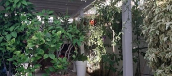 3 bedrooms Townhouse for rent in Strovolos, Nicosia, Cyprus № 26775 19