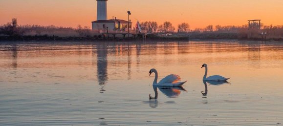 Villa T3 em Goro, Italy N.º 251464 12