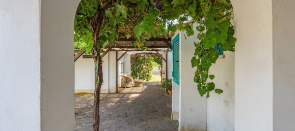 6 rooms Villa in San Felice Circeo, Italy No. 202438 80