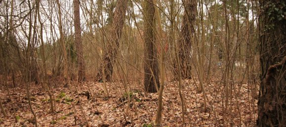  قطعة أرض في Dahme-Spreewald, Germany رقم 89423 3