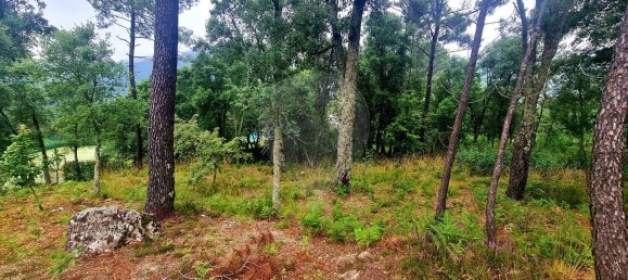 1767m² Land in Louredo, Portugal No. 83588 7