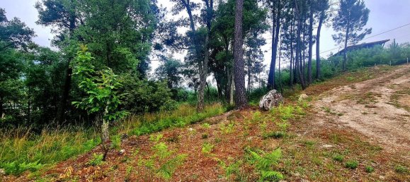 1767m² Land in Louredo, Portugal No. 83588 8